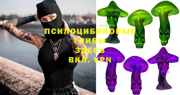 шишки Артём