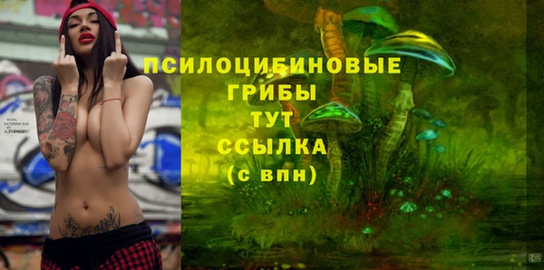 Альфа ПВП Мегион