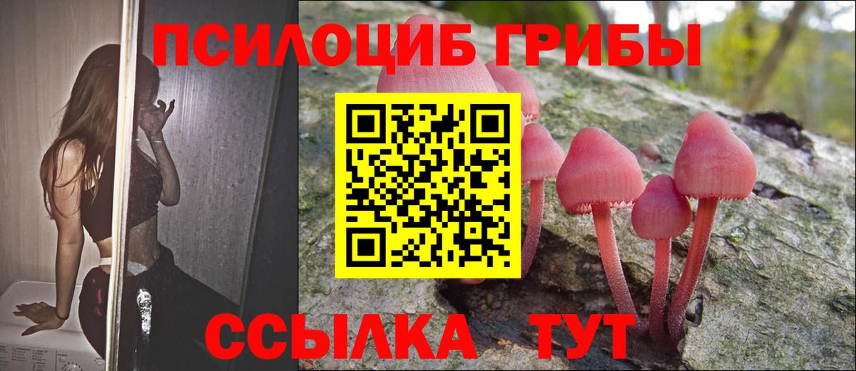 Псилоцибиновые грибы ЛСД Дятьково